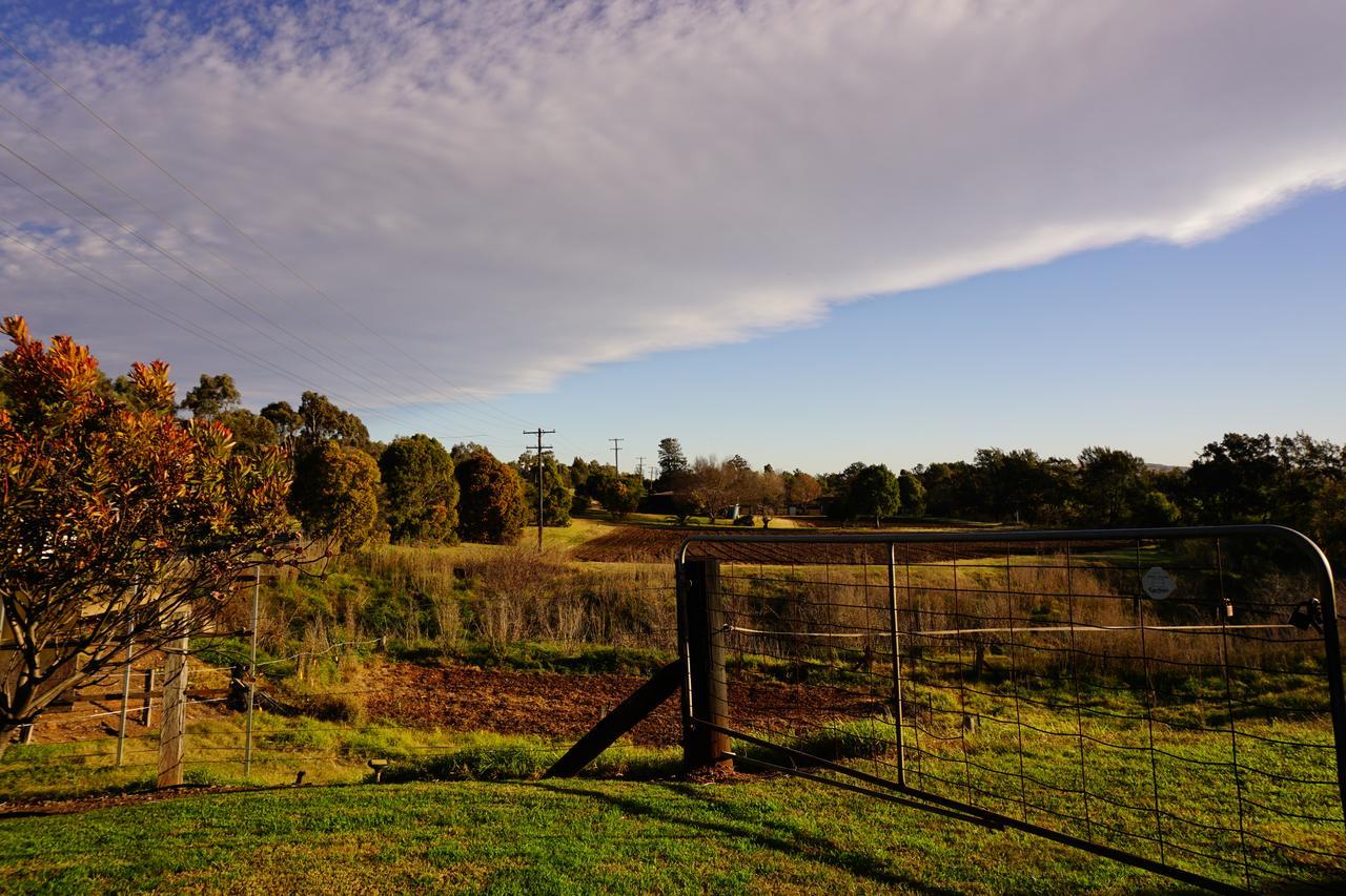 Muswellbrook Northside Bed & Breakfast Exterior foto